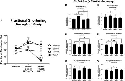 Cardioprotective effects of preconditioning exercise in the female tumor bearing mouse